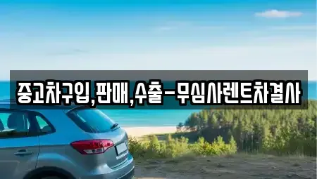 제주특별자치도 제주시 용담이동 중고차 전문 중고차구입,판매,수출-무심사렌트차결사