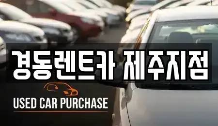 제주특별자치도 제주시 이호이동 단기렌트카,중고차매입,중고차매매,중고차,렌트카,장기렌트카