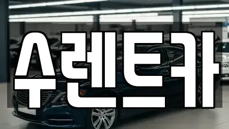제주특별자치도 제주시 이호이동 렌트카 전문 수렌트카