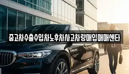 제주특별자치도 제주시 이호이동 중고차매입 전문 중고차수출수입차노후차사고차량매입매매센타
