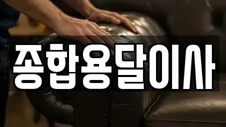 종합용달이사
