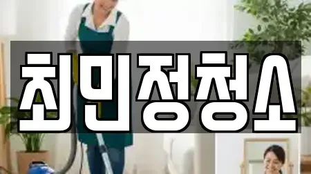 최민정청소