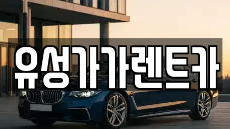 충남 계룡시 엄사면 렌트카 전문 유성가가렌트카