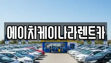 충남 공주시 금성동 렌트카 전문 에이치케이나라렌트카