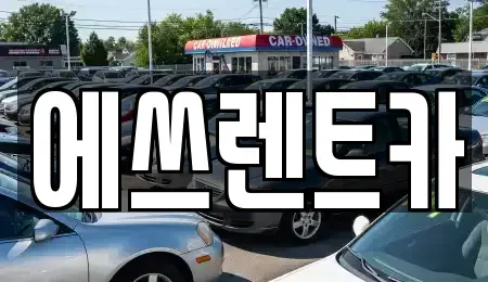 충남 보령시 성주면 렌트카 전문 에쓰렌트카