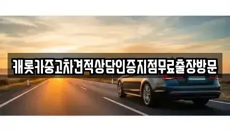 충남 보령시 성주면 중고차매매 전문 캐롯카중고차견적상담인증지점무료출장방문