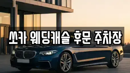 충남 부여군 부여읍 렌트카 전문 쏘카 웨딩캐슬 후문 주차장