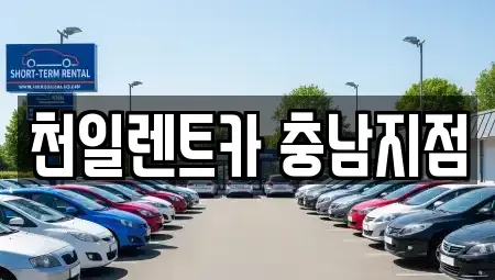 충남 부여군 부여읍 렌트카,단기렌트카,장기렌트카,중고차,중고차매매,중고차매입