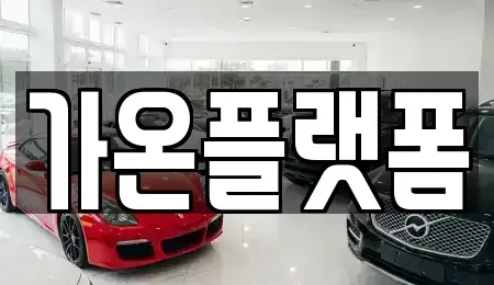 충남 부여군 장기렌트카 전문 가온플랫폼