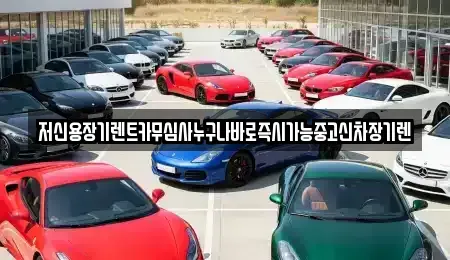 충남 부여군 장기렌트카 전문 저신용장기렌트카무심사누구나바로즉시가능중고신차장기렌