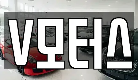 충남 부여군 중고차 전문 V모터스
