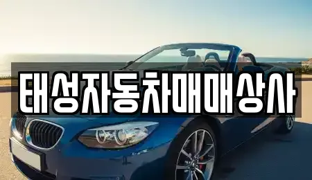 충남 부여군 중고차 전문 태성자동차매매상사