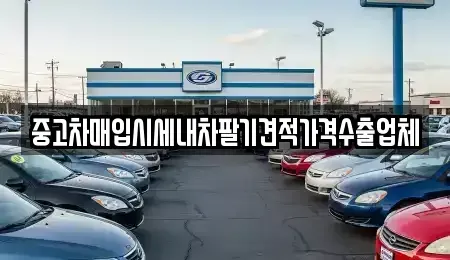충남 부여군 중고차매입 전문 중고차매입시세내차팔기견적가격수출업체
