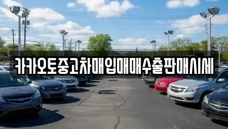 충남 부여군 중고차매입 전문 카카오토중고차매입매매수출판매시세