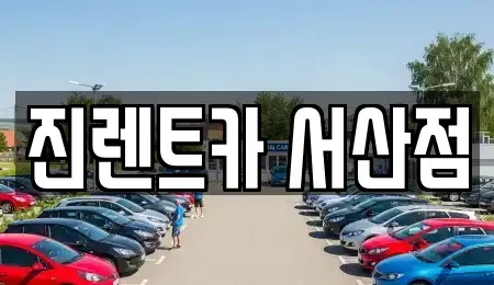 충남 서산시 수석동 렌트카 전문 진렌트카 서산점