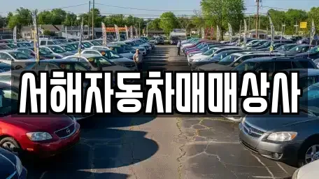 충남 서산시 수석동 중고차,렌트카,중고차매입,중고차매매,장기렌트카,단기렌트카