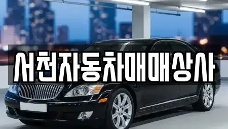 충남 서천군 마서면 중고차 전문 서천자동차매매상사