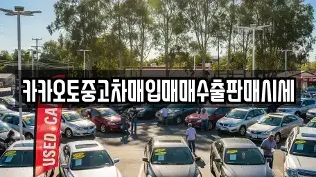 충남 서천군 마서면 중고차매입 전문 카카오토중고차매입매매수출판매시세