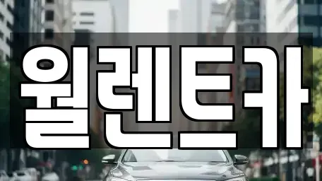 충남 천안시 동남구 성남면 렌트카 전문 월렌트카