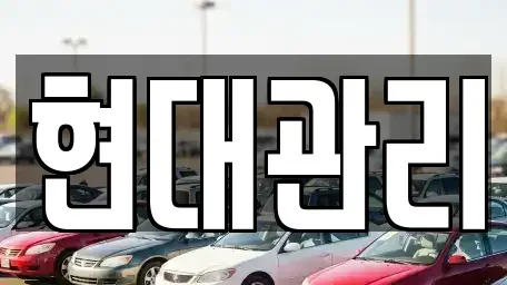 충남 천안시 동남구 성남면 렌트카 전문 현대관리