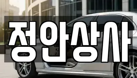 충남 천안시 동남구 성남면 중고차 전문 정안상사