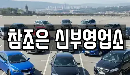 충남 천안시 동남구 안서동 단기렌트카 전문 참조은 신부영업소