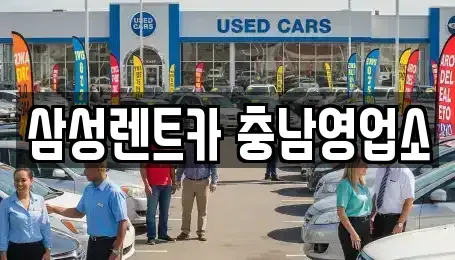 충남 천안시 동남구 안서동 렌트카 전문 삼성렌트카 충남영업소