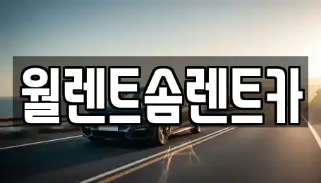 충남 천안시 동남구 안서동 렌트카 전문 월렌트솜렌트카