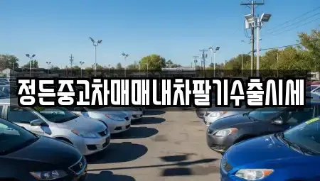 충남 천안시 동남구 안서동 중고차매매 전문 정든중고차매매내차팔기수출시세