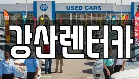 충남 천안시 서북구 성성동 단기렌트카 전문 강산렌터카