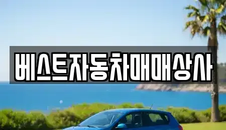 충남 천안시 서북구 성성동 중고차 전문 베스트자동차매매상사