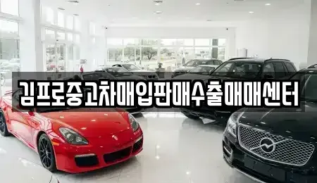 충북 영동군 양강면 중고차매입 전문 김프로중고차매입판매수출매매센터
