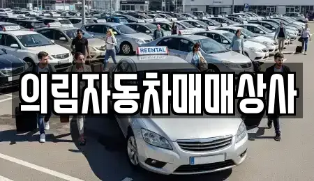 충북 제천시 남천동 중고차 전문 의림자동차매매상사