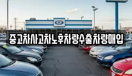 충북 제천시 남천동 중고차 전문 중고차사고차노후차량수출차량매입