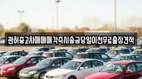 충북 증평군 도안면 중고차 전문 관허중고차매매매각즉시송금당일이전무료출장견적