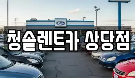 충북 청주시 상당구 방서동 렌트카 전문 청솔렌트카 상당점