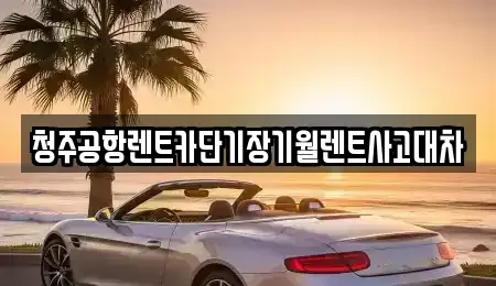 충북 청주시 청원구 내수읍 단기렌트카 전문 청주공항렌트카단기장기월렌트사고대차