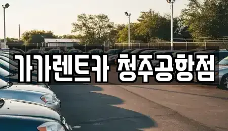 충북 청주시 청원구 내수읍 렌트카 전문 가가렌트카 청주공항점
