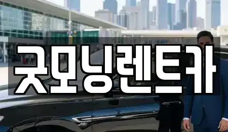 충북 충주시 연수동 렌트카 전문 굿모닝렌트카