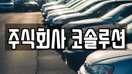 충북 충주시 연수동 렌트카 전문 주식회사 코솔루션