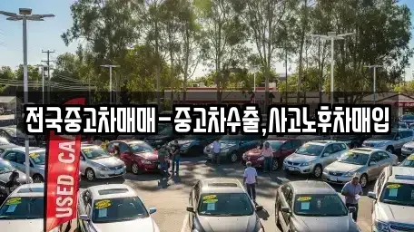 충북 충주시 연수동 중고차 전문 전국중고차매매-중고차수출,사고노후차매입