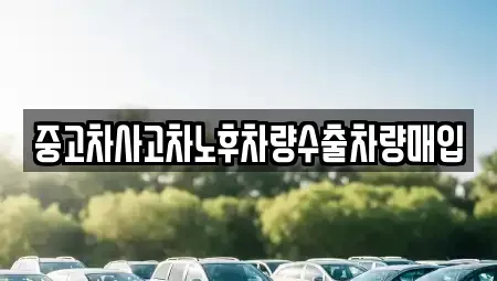 충북 충주시 연수동 중고차매입 전문 중고차사고차노후차량수출차량매입