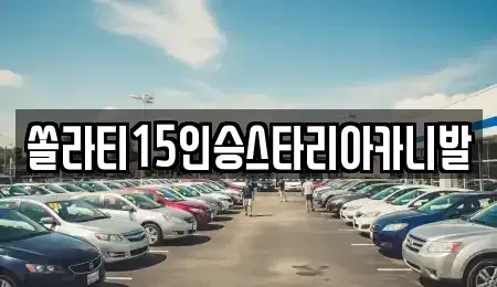 충북 충주시 지현동 렌트카 전문 쏠라티15인승스타리아카니발