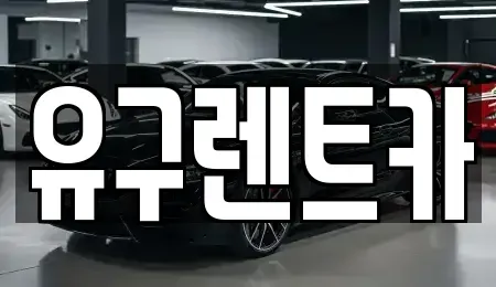 충청남도 공주시 유구읍 렌트카 전문 유구렌트카