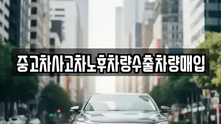 충청남도 공주시 유구읍 중고차 전문 중고차사고차노후차량수출차량매입