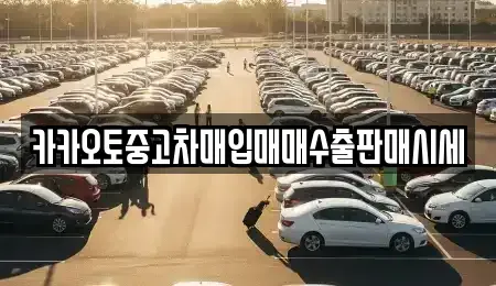 충청남도 공주시 유구읍 중고차 전문 카카오토중고차매입매매수출판매시세