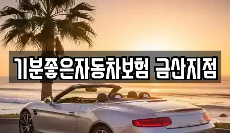 충청남도 금산군 금산읍 렌트카 전문 기분좋은자동차보험 금산지점
