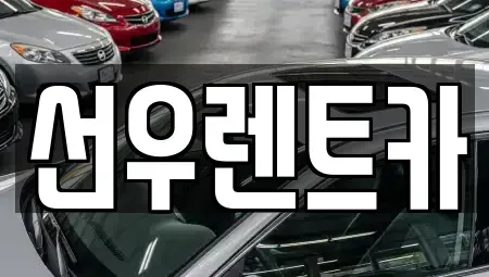 충청남도 금산군 금산읍 렌트카 전문 선우렌트카
