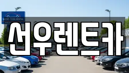 충청남도 금산군 렌트카 전문 선우렌트카