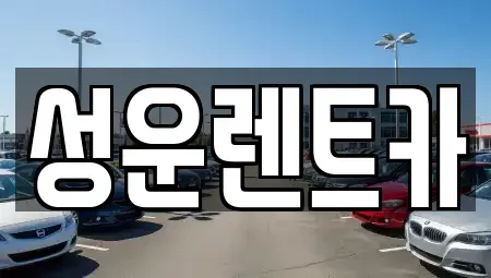 충청남도 금산군 렌트카 전문 성운렌트카